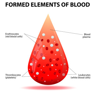 A drop of blood